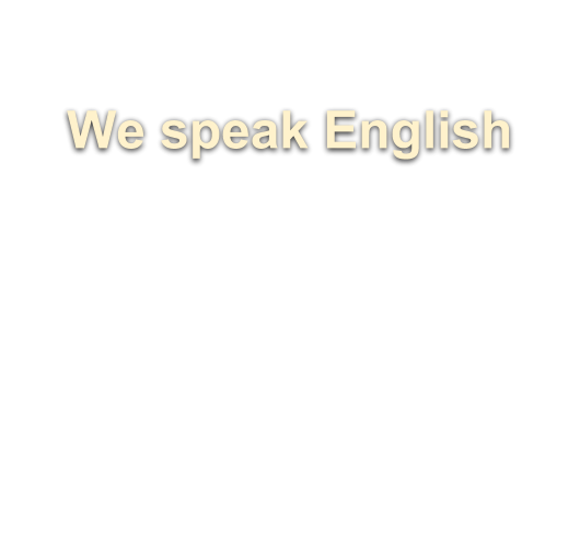 we speak english